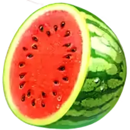 Watermelon symbol in Coin Strike XXL: Multicoin